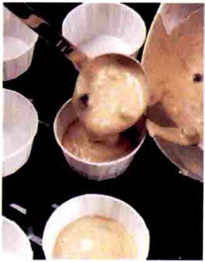 烘焙入门烘焙食谱之豆浆蓝莓玛芬蛋糕制作步骤6